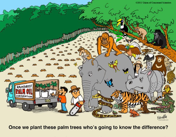cartoon about palm oil